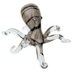 Glass Striped Octopus