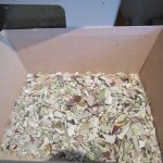 Capodimonte Coach and Horses completely destroyed