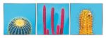 Framed Acrylic Pictures - Cactus (Set of 3)