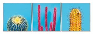 Framed Acrylic Pictures - Cactus (Set of 3)
