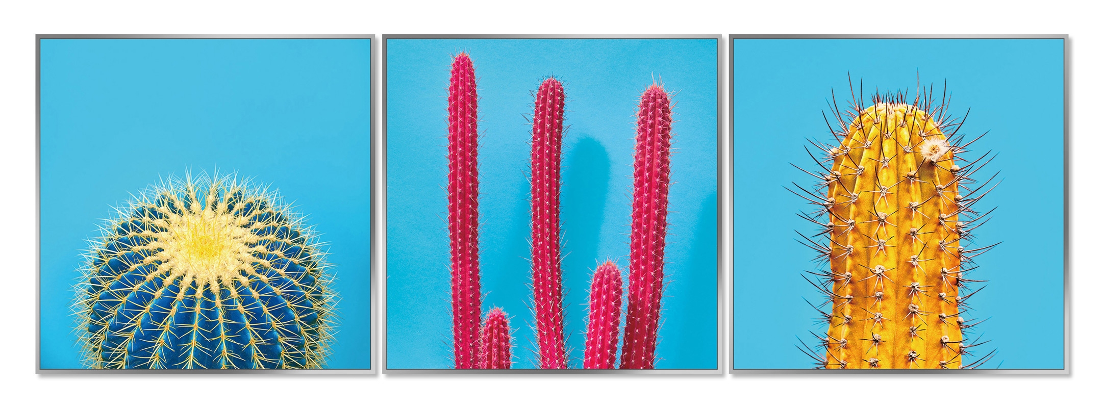 Framed Acrylic Pictures - Cactus (Set of 3)