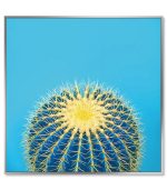 Framed Acrylic Pictures - Cactus (Set of 3) - Left Picture