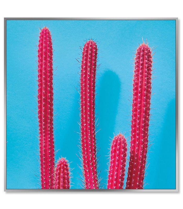 Framed Acrylic Pictures - Cactus (Set of 3) - Middle Picture