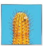 Framed Acrylic Pictures - Cactus (Set of 3) - Right Picture