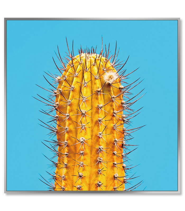 Framed Acrylic Pictures - Cactus (Set of 3) - Right Picture