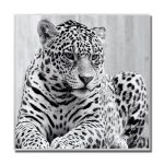 Leopard Glass Art Picture