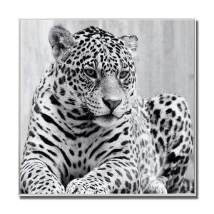 Leopard Glass Art Picture