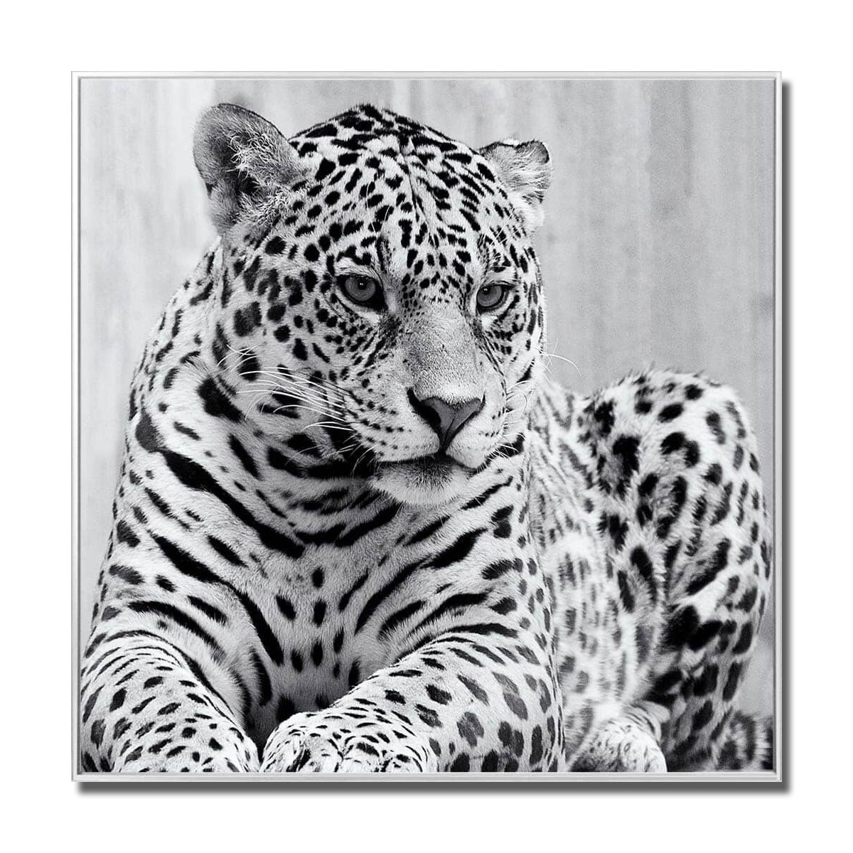 MP170 Leopard Glass Art Picture Leopard Glass Art Picture