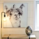 Llama Art Glass Framed Picture in our Showroom