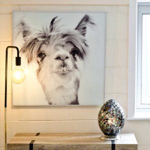 Llama Art Glass Framed Picture in our Showroom