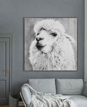 Alpaca glass art picture on display