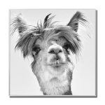 Llama Glass Art Picture