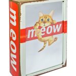 Mirrored Meow Cat Storage Book Box