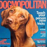 Dogmopolitan Book Box Close Up