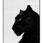 Black Panther Glass Wall Art Picture