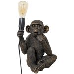 Monkey Holding Bulb Lamp Turned Off
