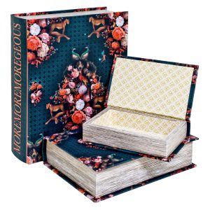 Moremoremoregeous Storage Book Boxes - Set of Three