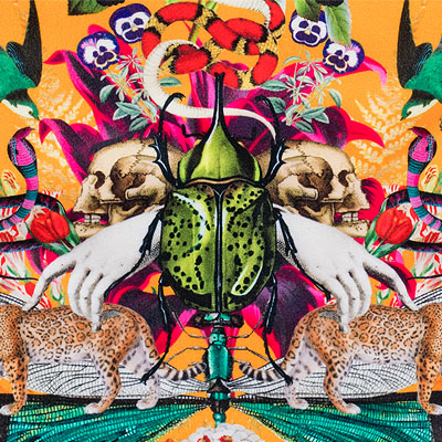 Myrtle and Mary Divine Curio