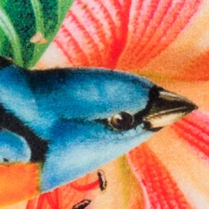 Myrtle and Mary Tropical Bomb 1