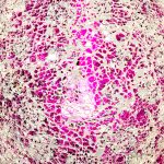 Mosaic Glass Vase Lamp - Pink Rose - Image 5
