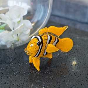 Glass Clown Fish in our Showroom