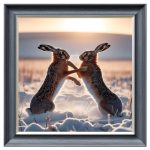 Fighting Snow Hares Velvet Print - Grey Frame