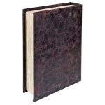 Bronze Eagle Book Box - Back