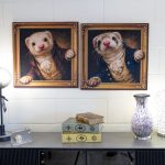 Gentleman Ferret Velvet Pictures in our Showroom
