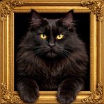 Black Maine Coon Cat Illusion Ornate Gold Frame