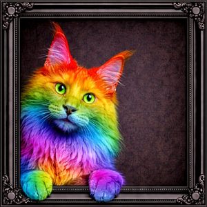 Peeking rainbow cat black ornate frame