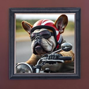 Boxer Biker - Velvet Printed Frame Hung Up
