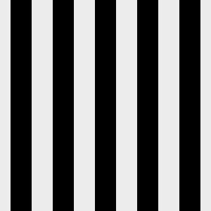 Apollo Fabric - Black & White Stripe