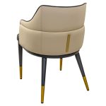 Kairo Dining Chair - Back