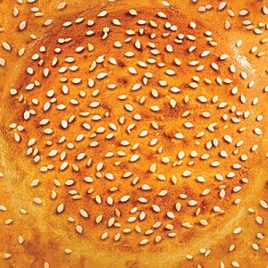Burger icon fabric