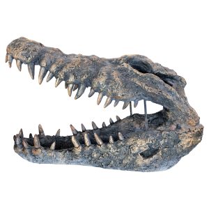 Crocodile Skull Sculpture