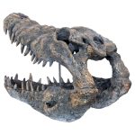 Crocodile Skull Sculpture - Back Side