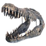 Crocodile Skull Sculpture - Front Side