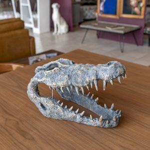 Crocodile Skull Sculpture in our Showroom