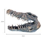 Crocodile Skull Sculpture - Dimensions