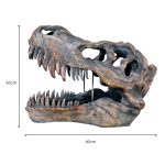 Dinosaur Skull Sculpture - Tyrannosaurus Rex - Dimensions