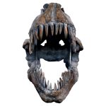 Dinosaur Skull Sculpture - Tyrannosaurus Rex - Front