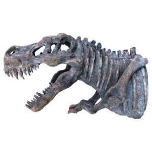 Dinosaur Wall Mounted Sculpture