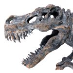 Dinosaur Wall Mounted Sculpture - Close Up