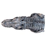 Dinosaur Wall Mounted Sculpture - Above