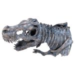 Dinosaur Wall Mounted Sculpture - Top Side