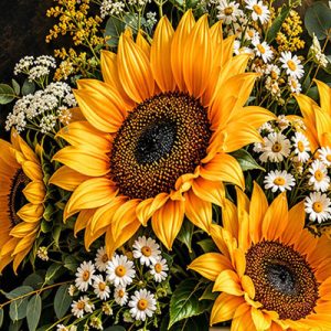 Serene Sunflowers